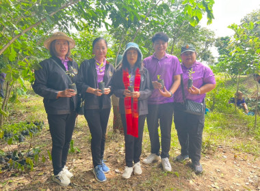 สำนักงานสหกรณ์ร้อยเอ็ดจัดโครงการอนุรักษ์พันธุกรรมพืชอันเนื่องมาจากพระราชดำริ สมเด็จพระเทพรัตนราชสุดาฯ สยามบรมราชกุมารี ... พารามิเตอร์รูปภาพ 6